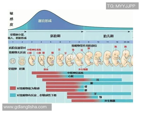俄罗足球明星之前的辉煌岁月与成长历程揭秘